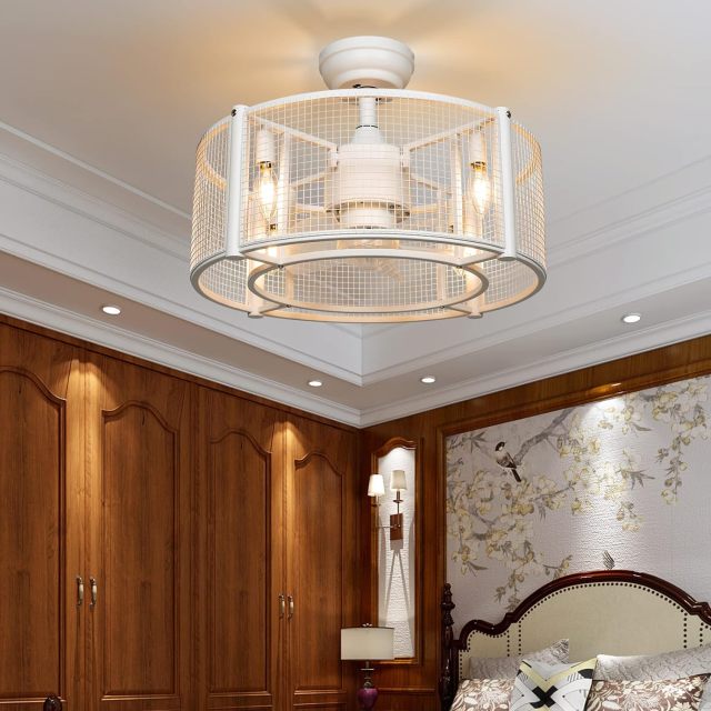 ARLIME Caged Ceiling Fan with Light, 20 Inch Ceiling Fan Lights with Remote Control, Reversible Motor (No Bulb)