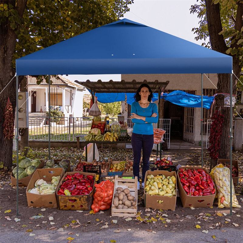 10' x 10' Pop Up Canopy Tent Easy Set-up Instant Canopy Outdoor Folding Tent Adjustable Height Sun Shelter with Center Lock & Carry Bag