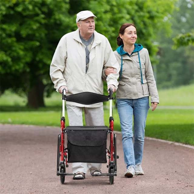 2-in-1 Rollator Walker for Seniors, Folding Medical Walker Transport Chair with Seat, 8" Wheels, 350lbs Capacity, Aluminum Mobility Walking Aid