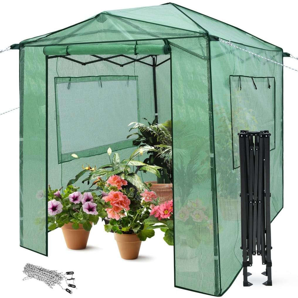 8’ x 6’ Outdoor Portable Walk-in Greenhouse with Roll-up Doors and Windows