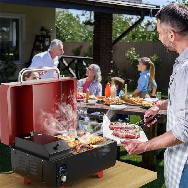 Pellet Grill and Smoker Portable Pellet Smoker Tabletop Wood Pellet Grill w/ Temperature Control, Removable Ash Pan, Grease Tray for Camping BBQ