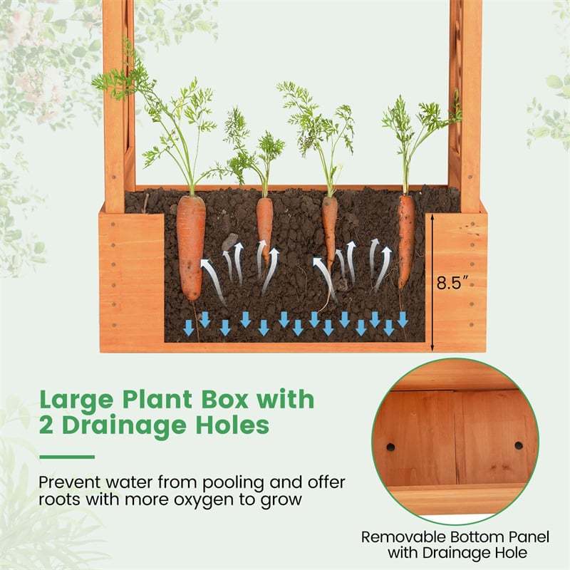 Raised Garden Bed with 2-Sided Trellis, Hanging Roof, Drainage Holes, Indoor/Outdoor Wood Planter Box for Climbing Plants, Vines, Flowers
