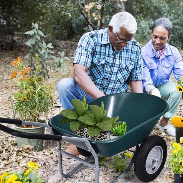 Dual Wheel Wheelbarrow Heavy Duty Home Utility Garden Cart 330 LBS Capacity Large Yard Cart for Gardening Farm