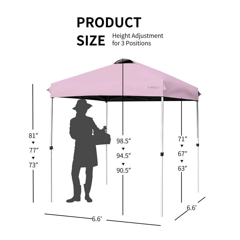 6.6x6.6FT Outdoor Pop-up Canopy Tent with Height Adjustable, Roller Bag & Weight Bags, Commercial Instant Canopy Sun Shelter for Camping, Party