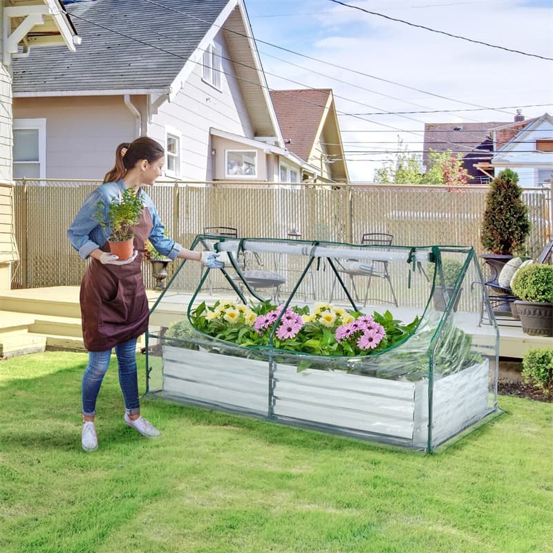 Galvanized Steel Raised Garden Bed with Greenhouse, PVC Cover & 2-Tier Roll-Up Windows, Bottomless Planter Box for Veggies, Flowers, Herbs