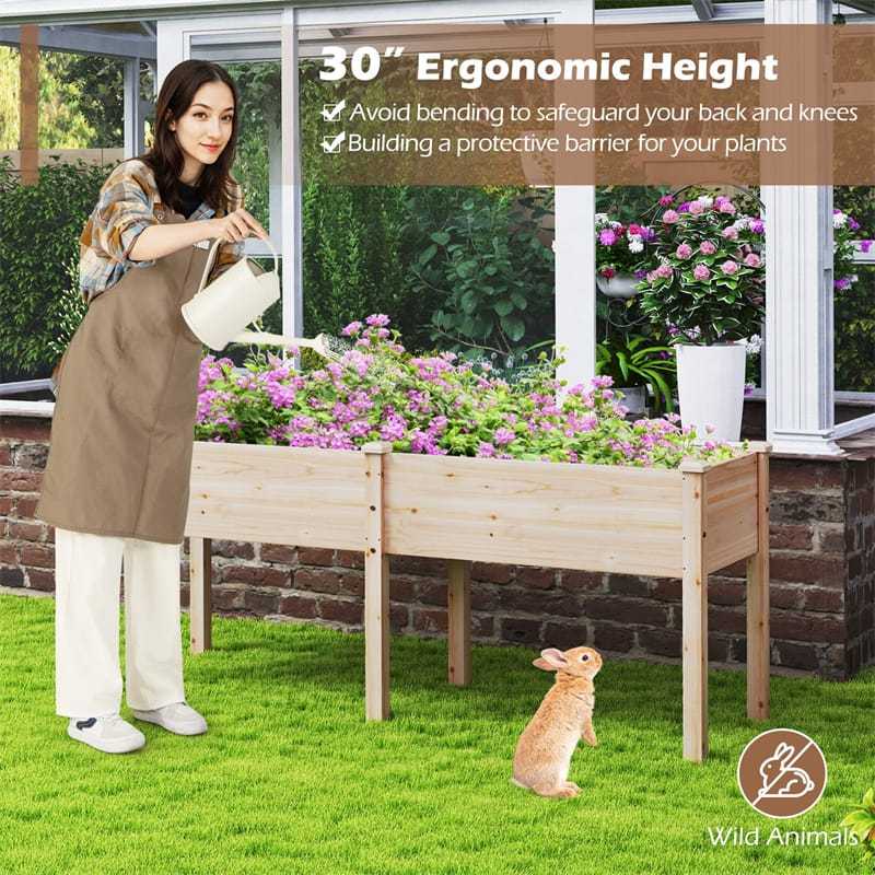 Wood Raised Garden Bed with 6 Legs, Divider Panel & Drainage, Elevated Planter Box for Vegetables, Flowers, 73x23x30 Inch