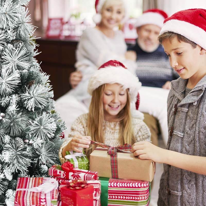 8FT Snow Flocked Christmas Tree Glitter Tips with Pine Cone and Red Berries