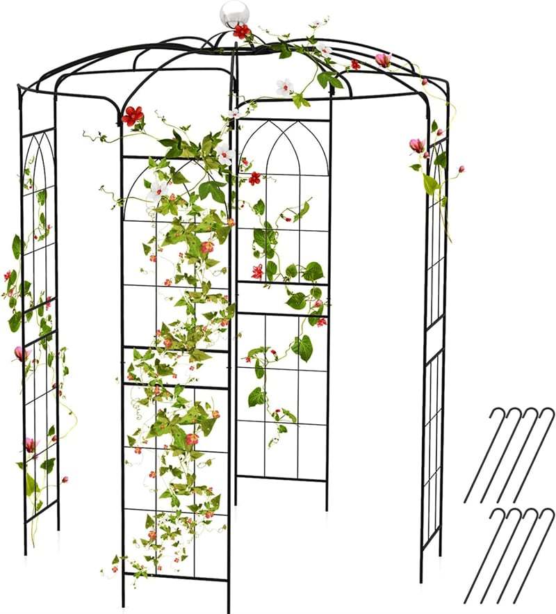 Birdcage Shape Garden Arch 9.4' x 6.8' Wrought Iron Arbor Trellis for Climbing Plants, French Style Pergola Pavilion for Wedding Party Outdoor Decor