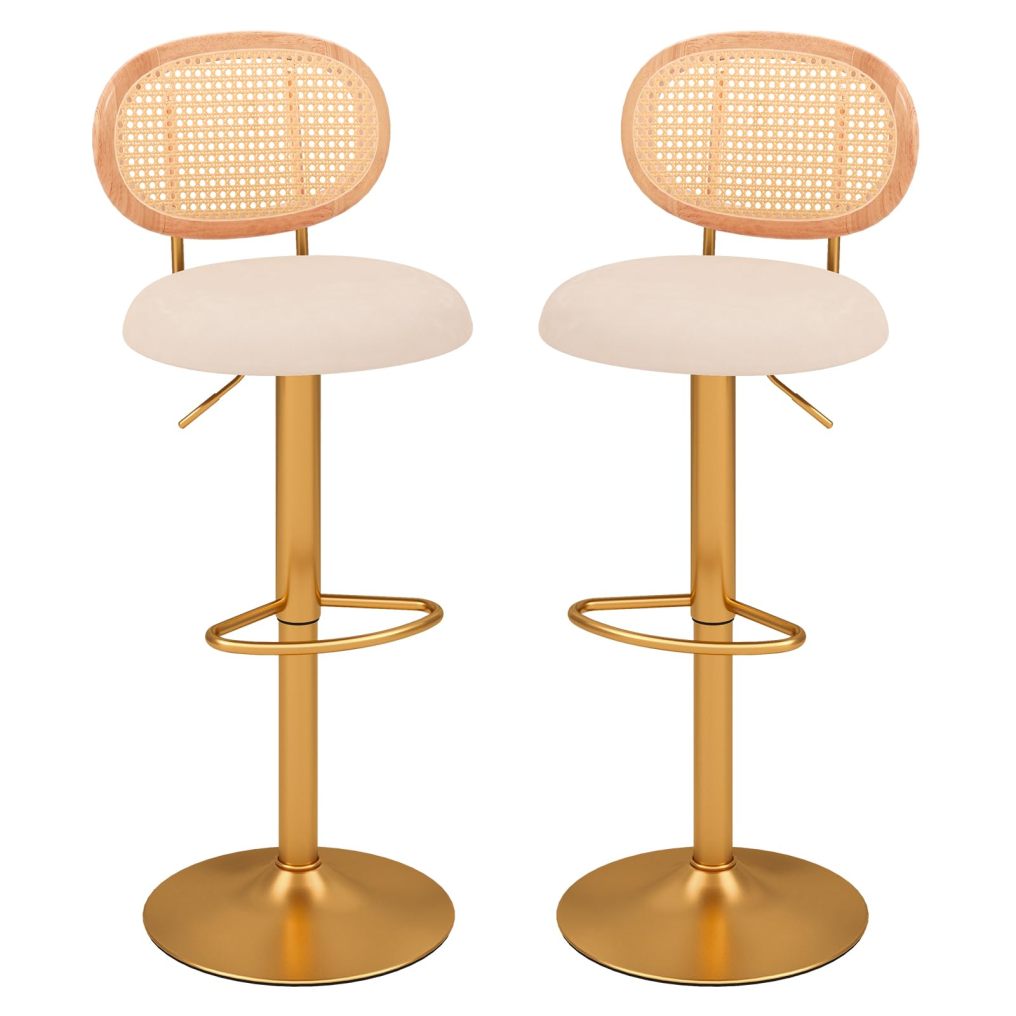Modern Rattan Bar Stools Set of 2/4