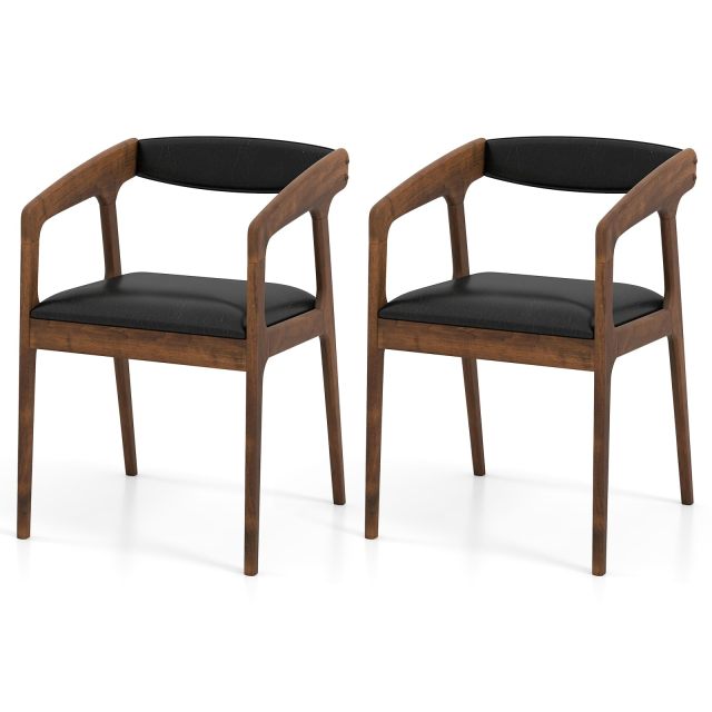 Dining Chairs with Arms Set of 2/4 for Living Dining Reading Room