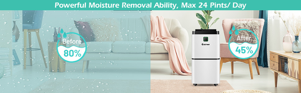 dehumidifier
