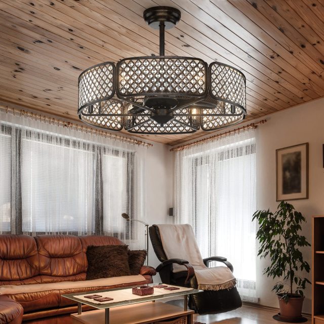 Caged Ceiling Fan with Light, 30 Inch Crystal Ceiling Fan with 6 Light Bases, 3 Fan Blades & Remote Control