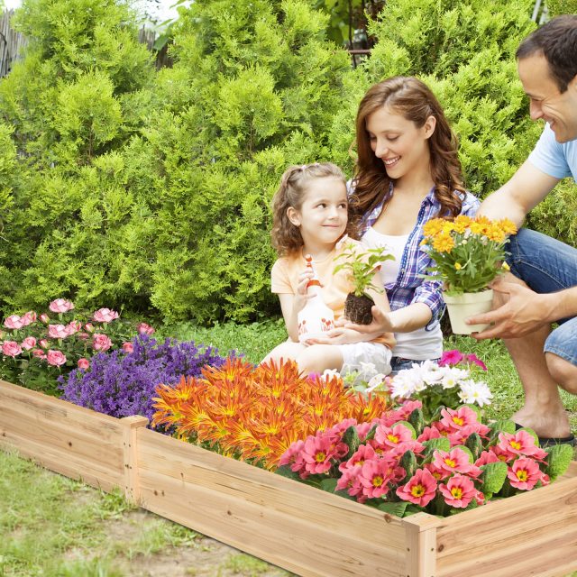Raised Garden Bed Garden Planting Bed Kit for Outdoor ( 91” x 24” x 9” )