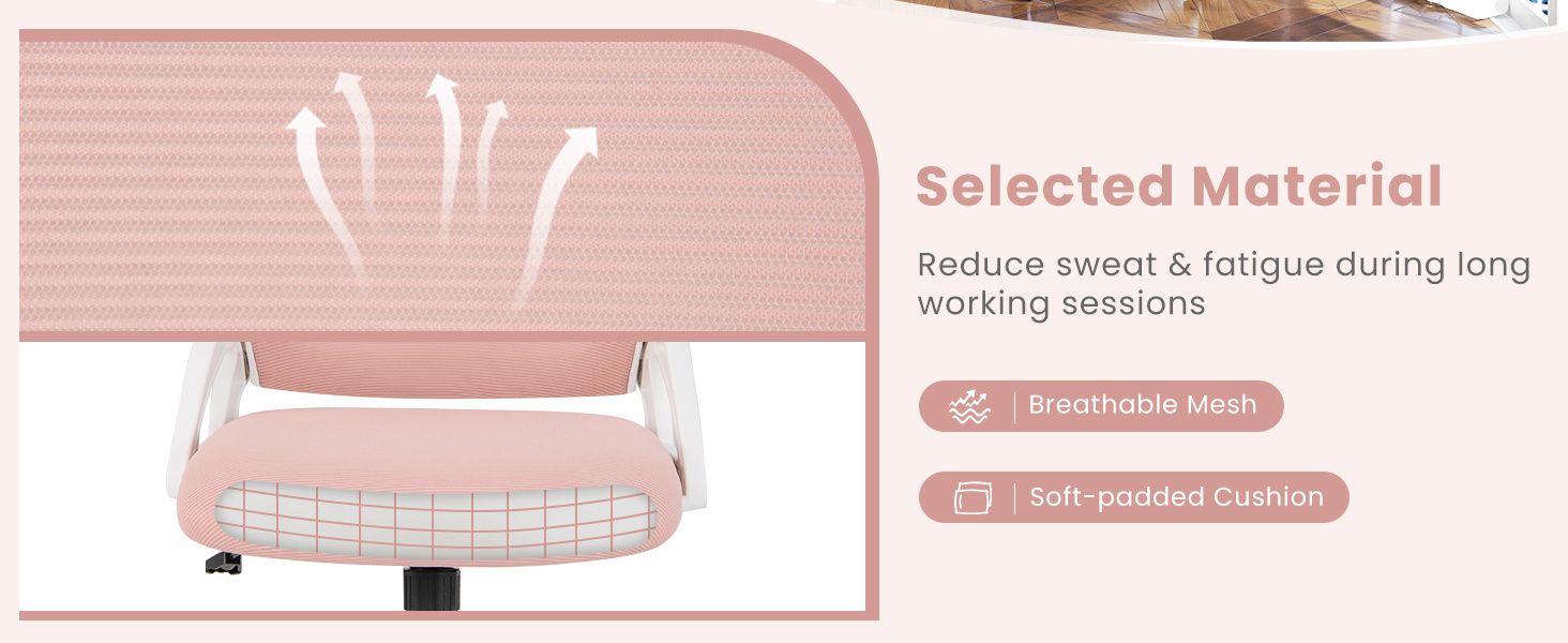 Ergonomic Computer Desk Chair with Lumbar Support and Flip-up Arms