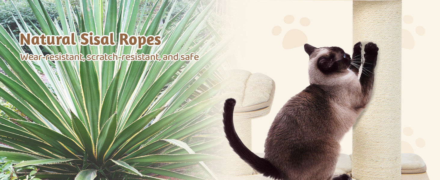 55 Inch Tall Multi-Level Cat Tree with Washable Removable Cushions